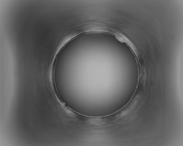 X0000112370909200908201500