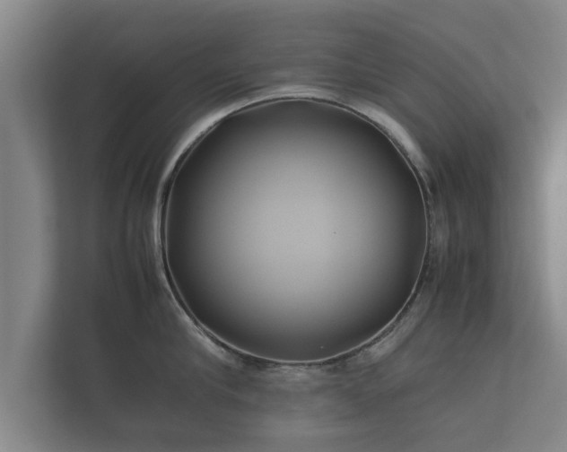 X0000112370910200908201500