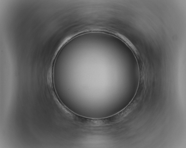 X0000112370911200908201500