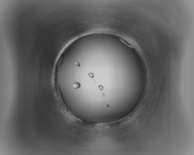 X0000112370912200908201500