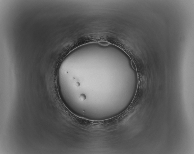 X0000112370913200908201459