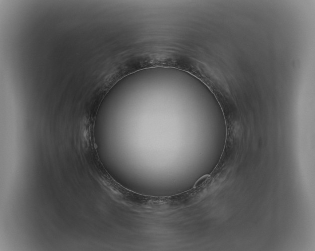 X0000112370914200908201459