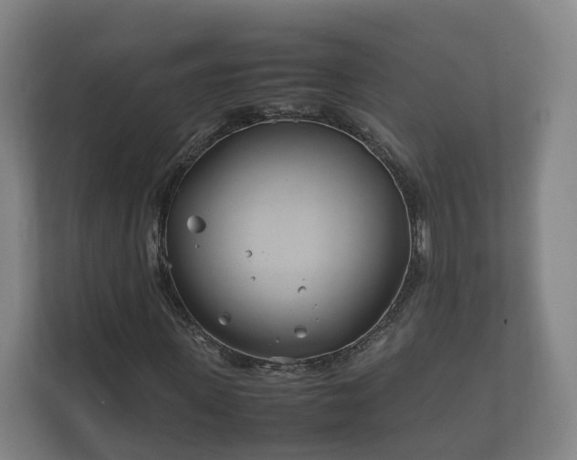 X0000112370915200908201459