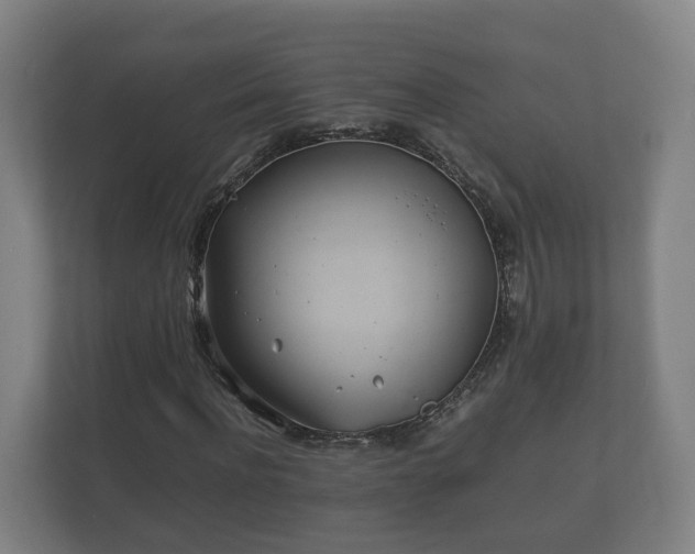 X0000112370916200908201459