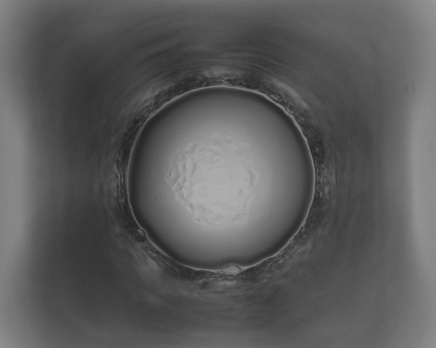 X0000112370917200908201459