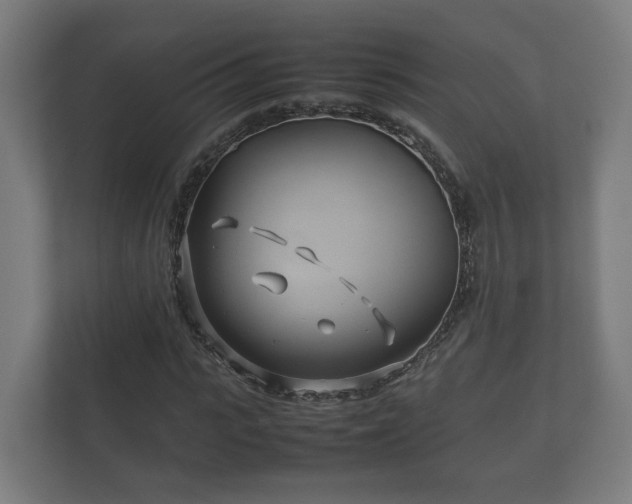 X0000112370919200908201459