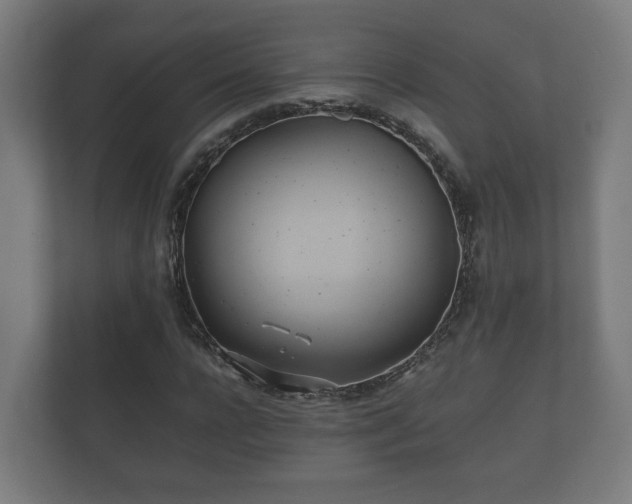 X0000112370920200908201459