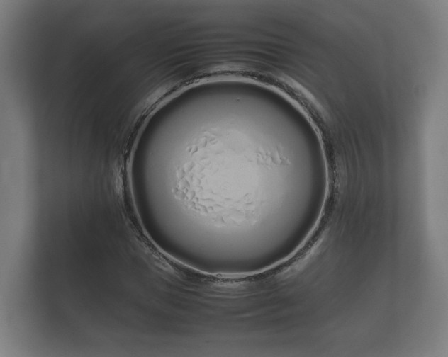 X0000112370921200908201459