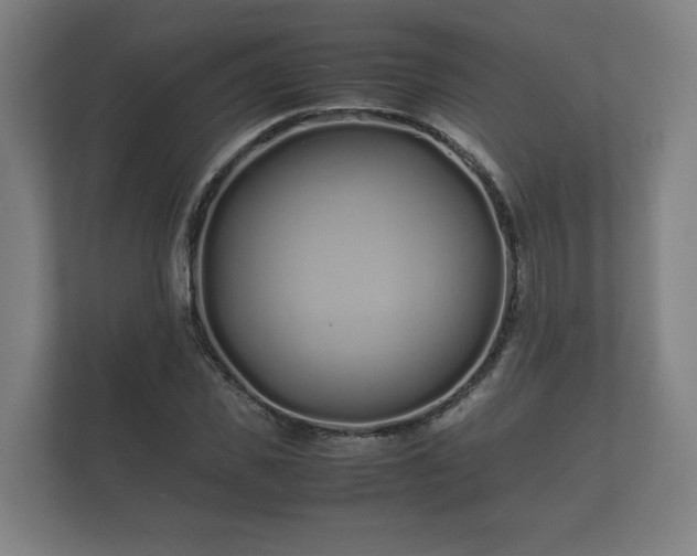 X0000112370925200908201459