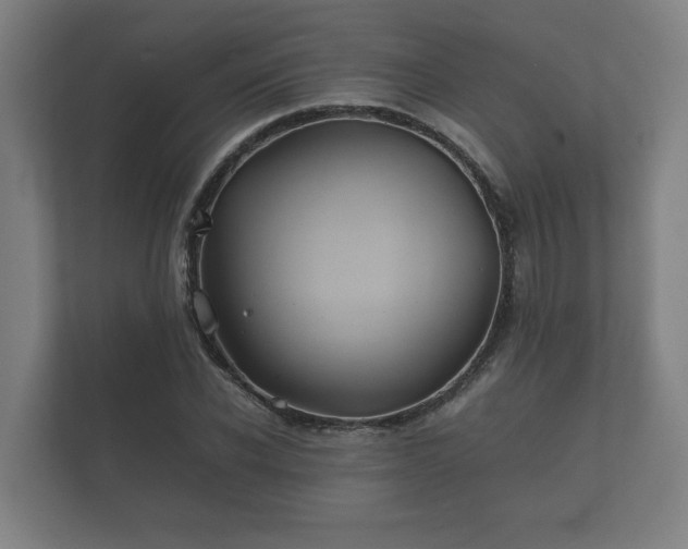 X0000112370926200908201459