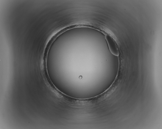 X0000112370928200908201459