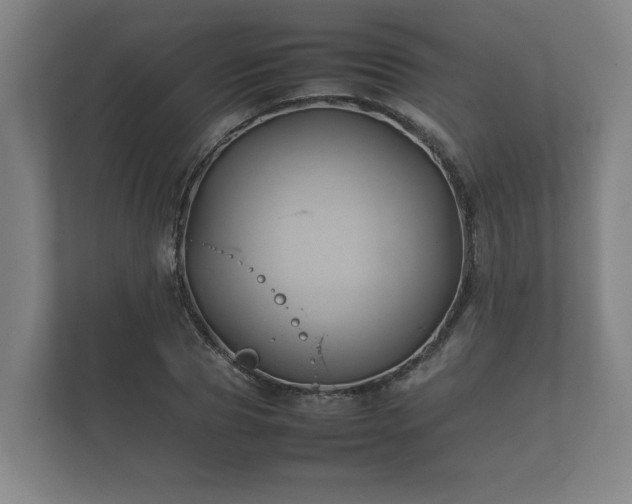 X0000112370929200908201459