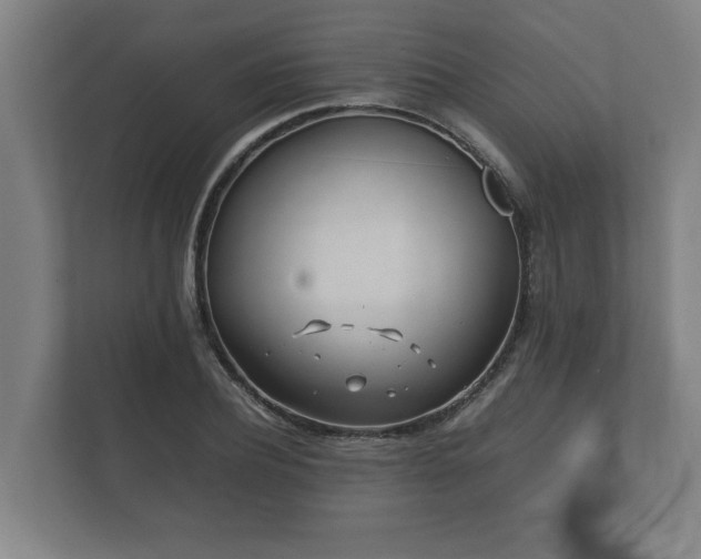 X0000112370932200908201459