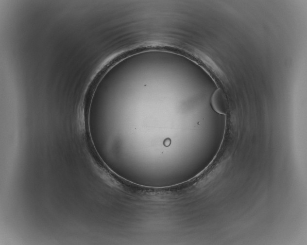 X0000112370934200908201459