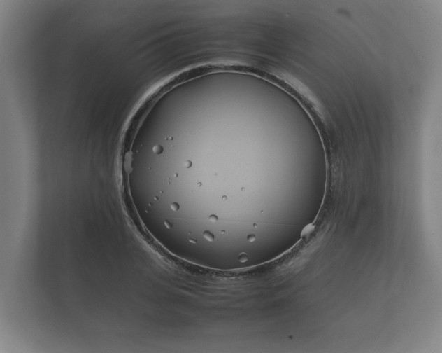 X0000112370935200908201459