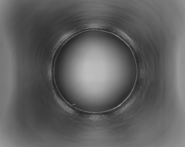 X0000112370938200908201459