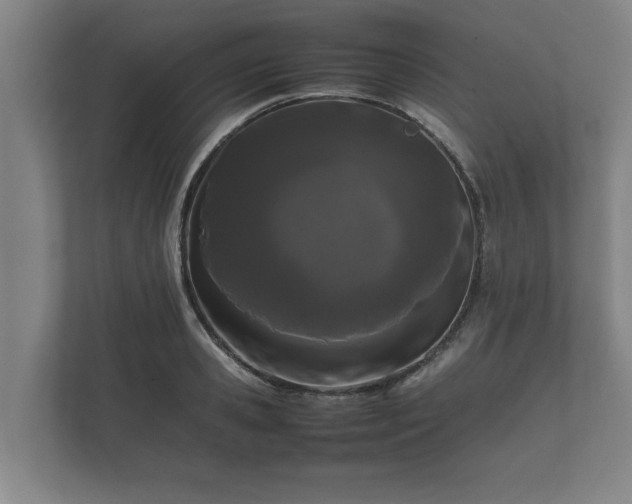 X0000112370941200908201459