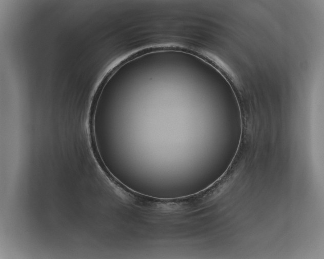 X0000112370943200908201459