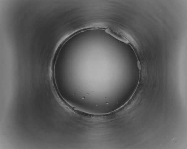 X0000112370944200908201459