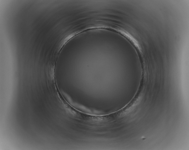 X0000112370945200908201459