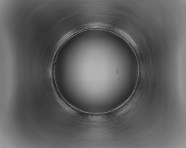 X0000112370946200908201459