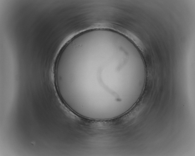 X0000112370950200908201459