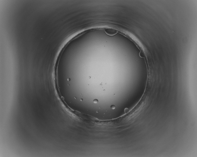 X0000112370951200908201459