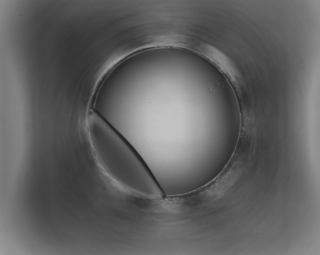 X0000112370952200908201459