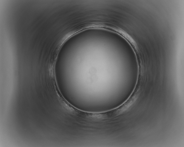 X0000112370953200908201459