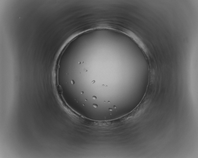 X0000112370955200908201459