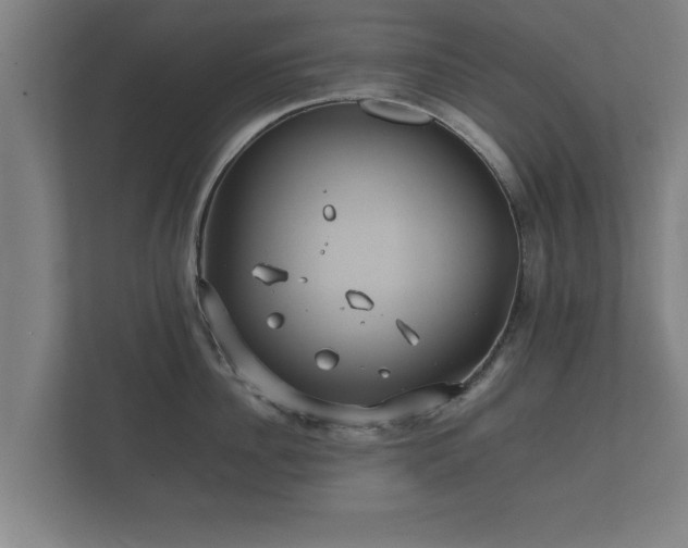 X0000112370956200908201459