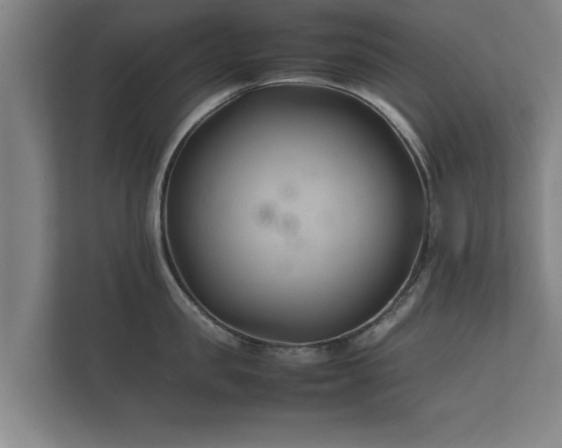 X0000112370957200908201459