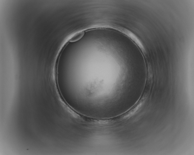 X0000112370958200908201459