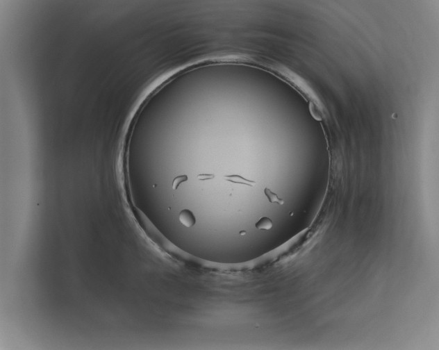 X0000112370959200908201459