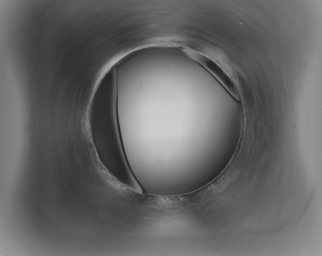 X0000112370960200908201459