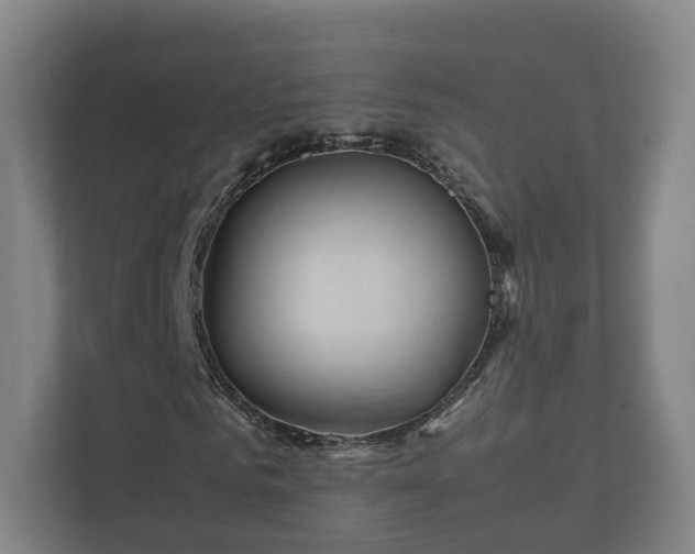 X0000112370961200908201459