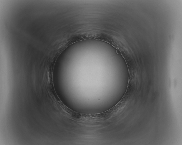 X0000112370962200908201459