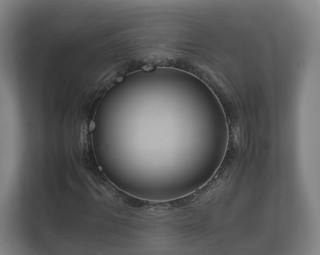 X0000112370964200908201459