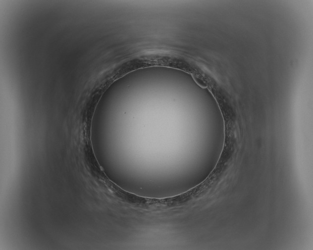 X0000112370965200908201459