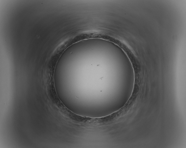 X0000112370967200908201459