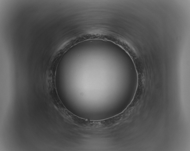 X0000112370968200908201459