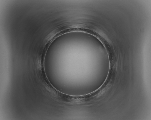 X0000112370969200908201459