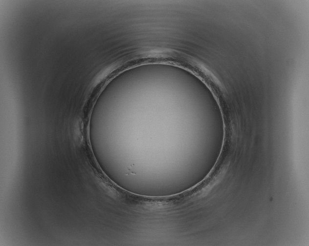 X0000112370970200908201459