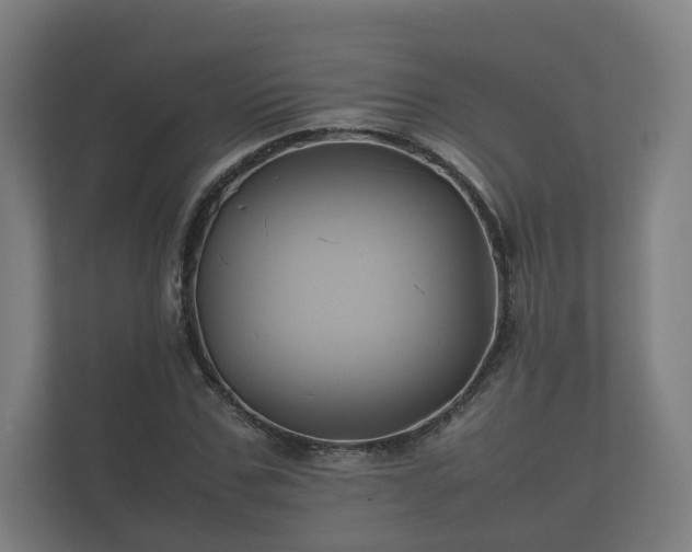 X0000112370971200908201459