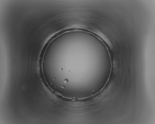 X0000112370972200908201459