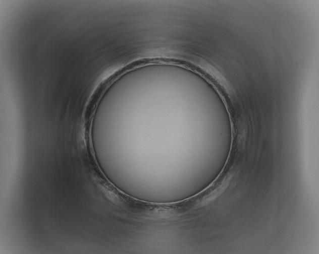 X0000112370974200908201459