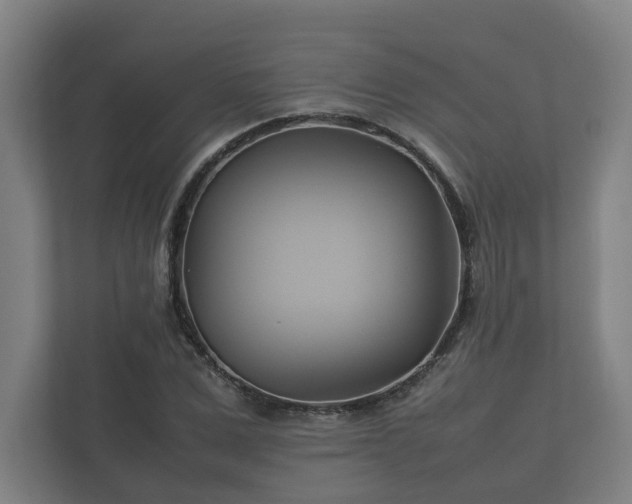 X0000112370975200908201459