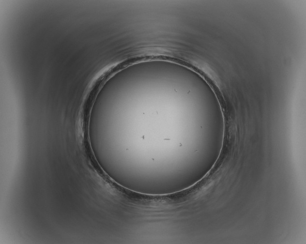 X0000112370979200908201459