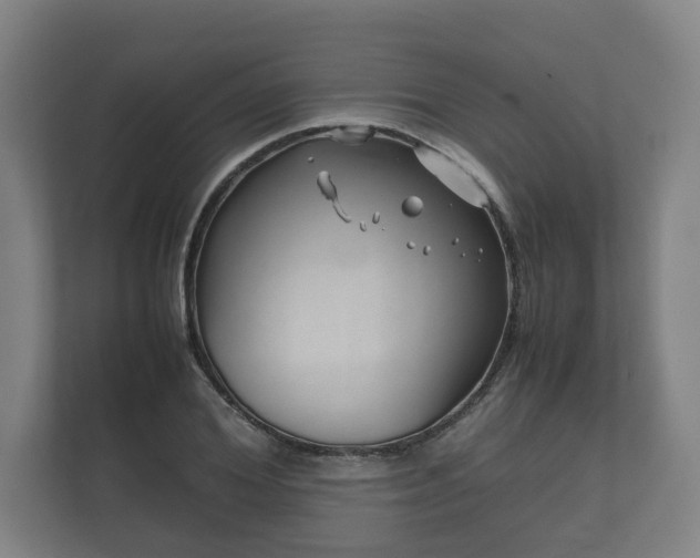 X0000112370980200908201459