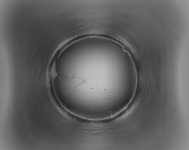 X0000112370981200908201459